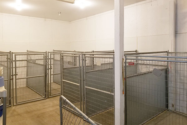 BoardingKennels2.jpg